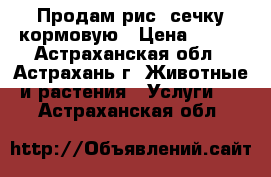 Продам рис, сечку кормовую › Цена ­ 300 - Астраханская обл., Астрахань г. Животные и растения » Услуги   . Астраханская обл.